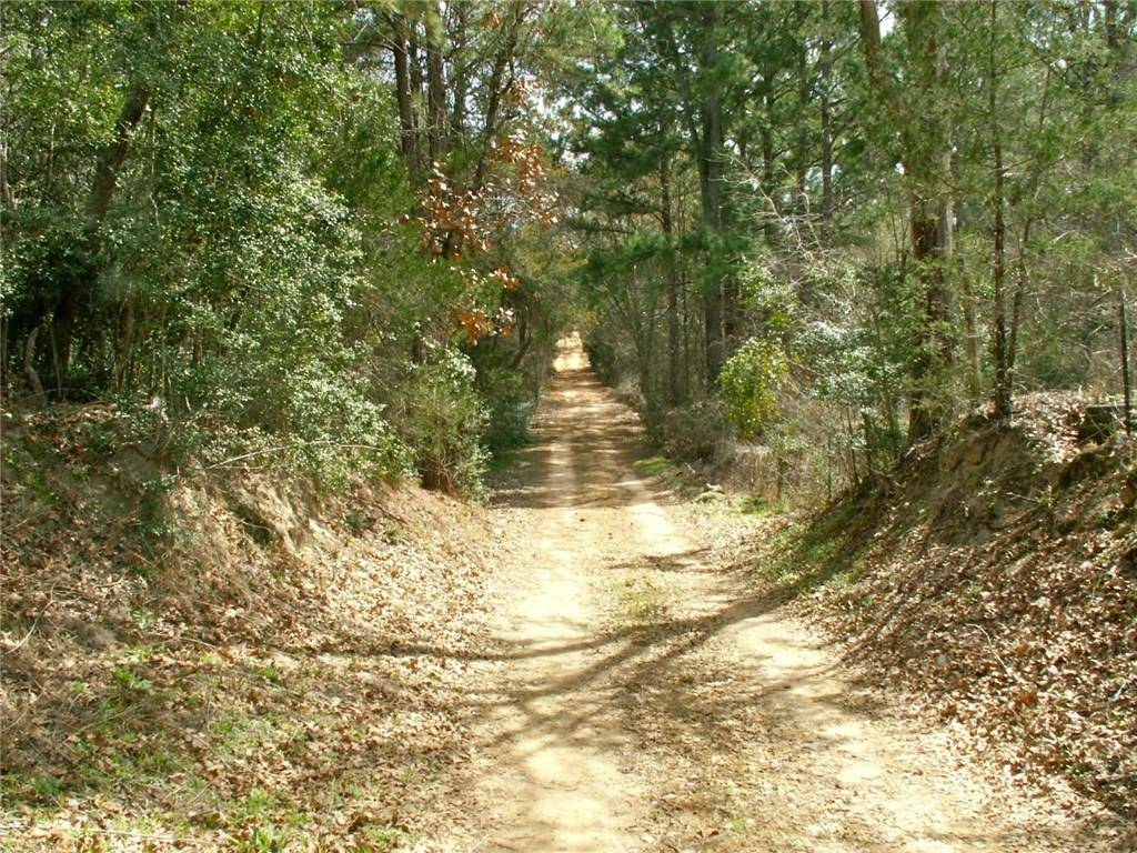 Paige, TX 78659,143 Old Piney TRL #B