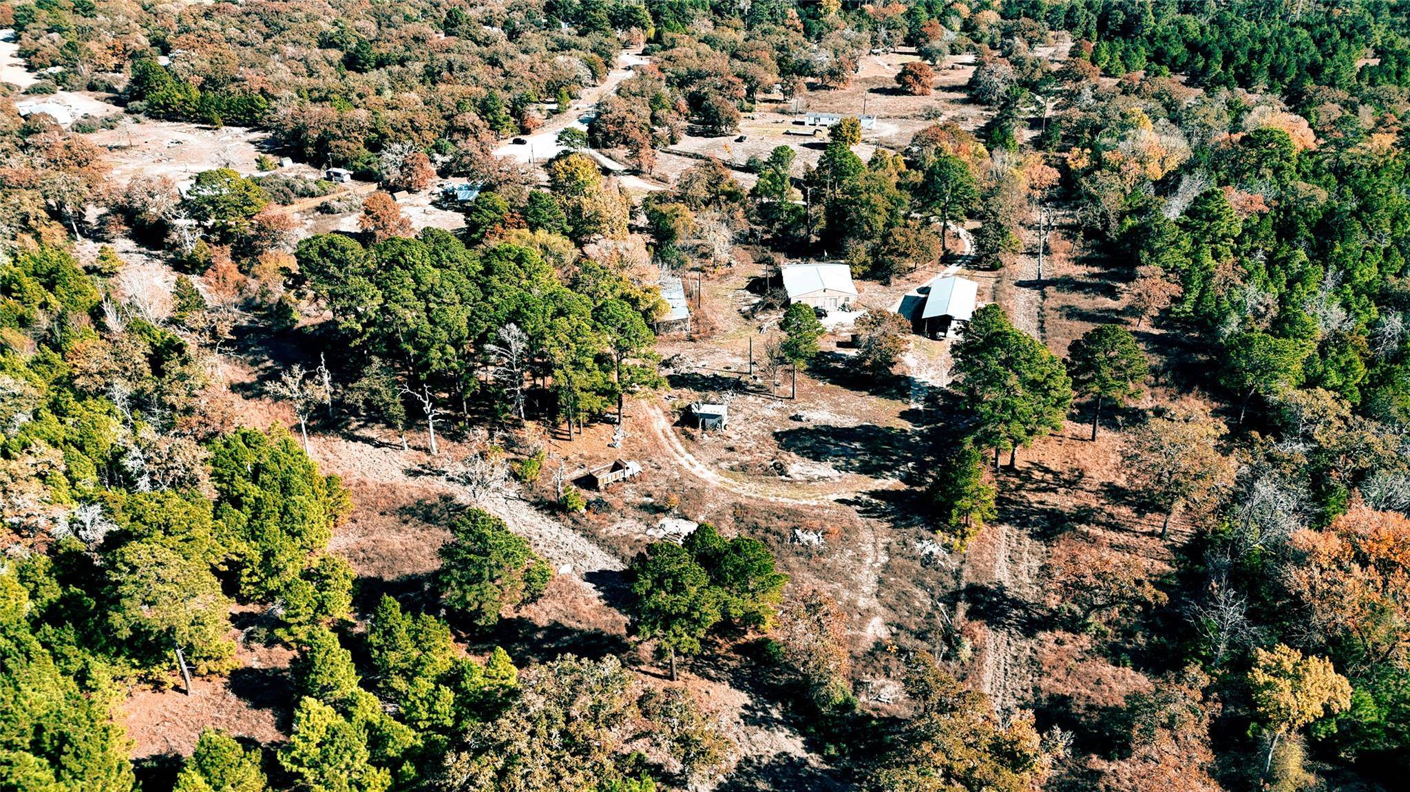 Paige, TX 78659,151 Palamino CT