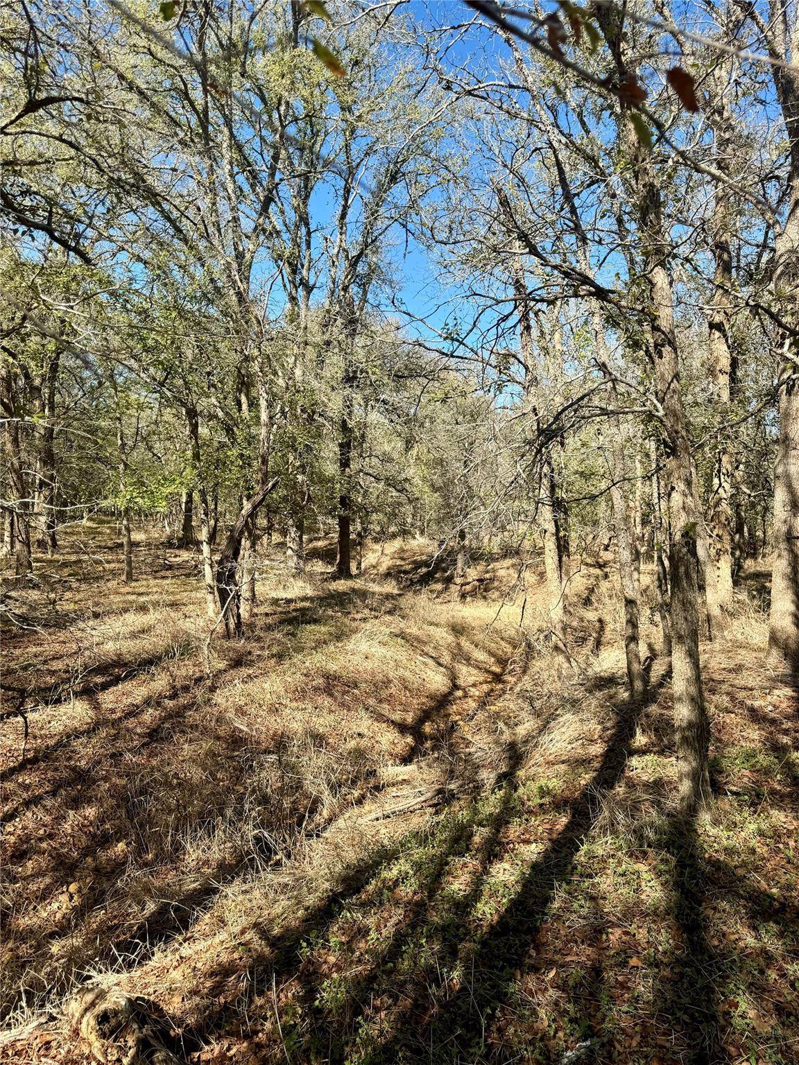Lockhart, TX 78644,140 Baylen Clifton LN