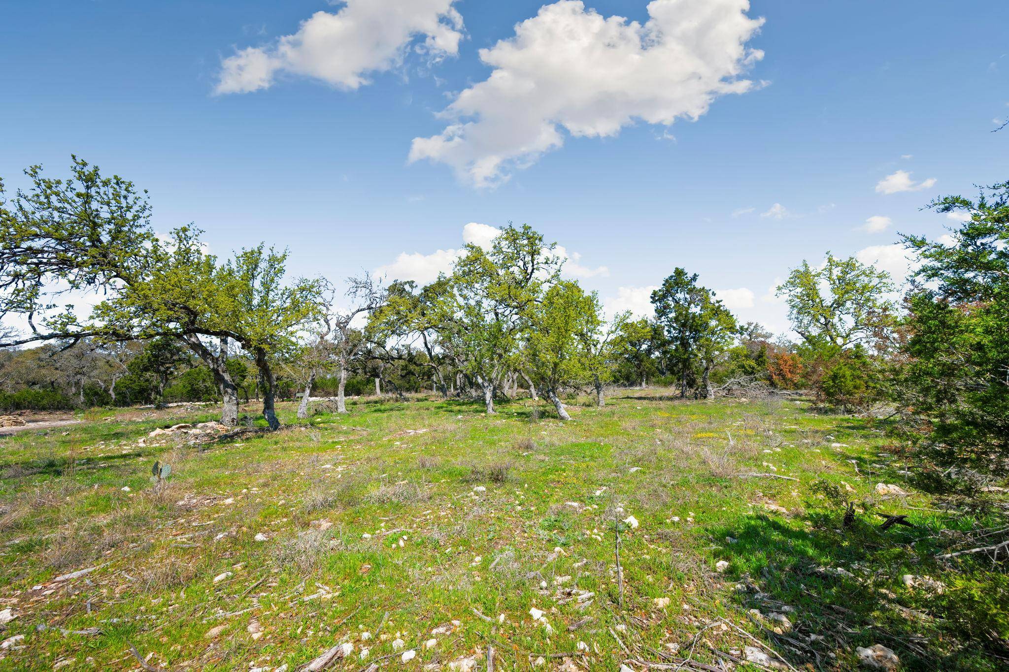 New Braunfels, TX 78132,1275 Smoky LOOP