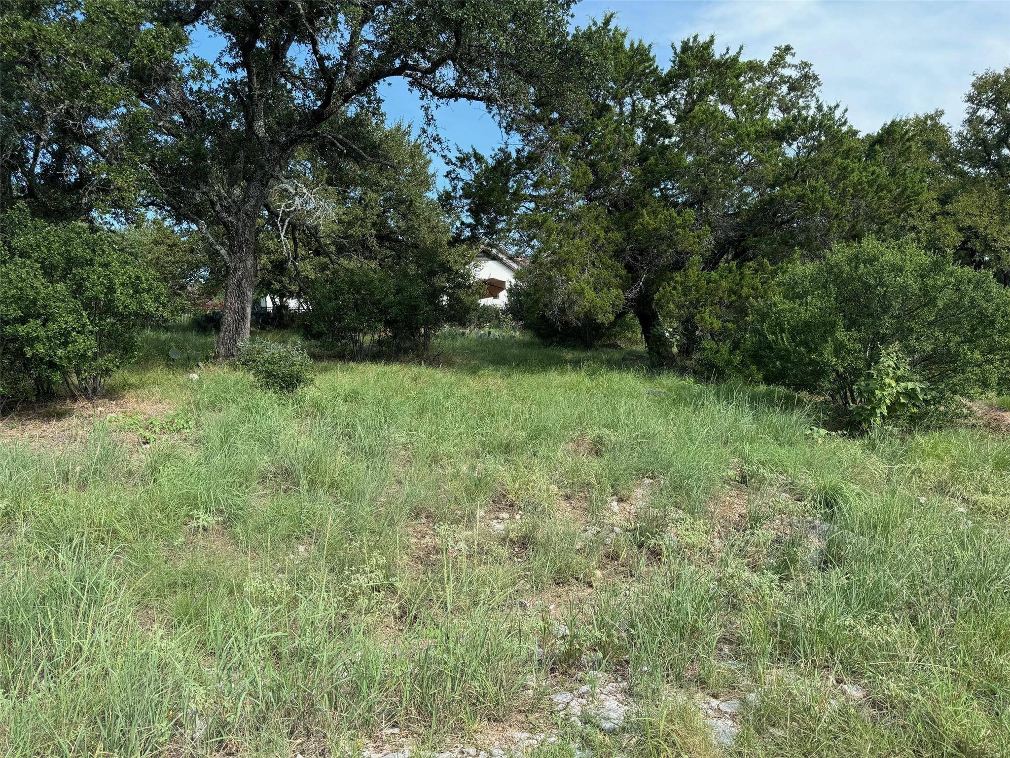 Horseshoe Bay, TX 78639,Lot 44002A Mountain Dew ST