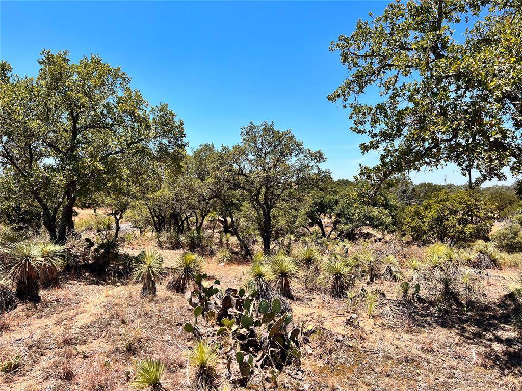 Granite Shoals, TX 78654,Lots 284-286 TBD W Castlelake DR