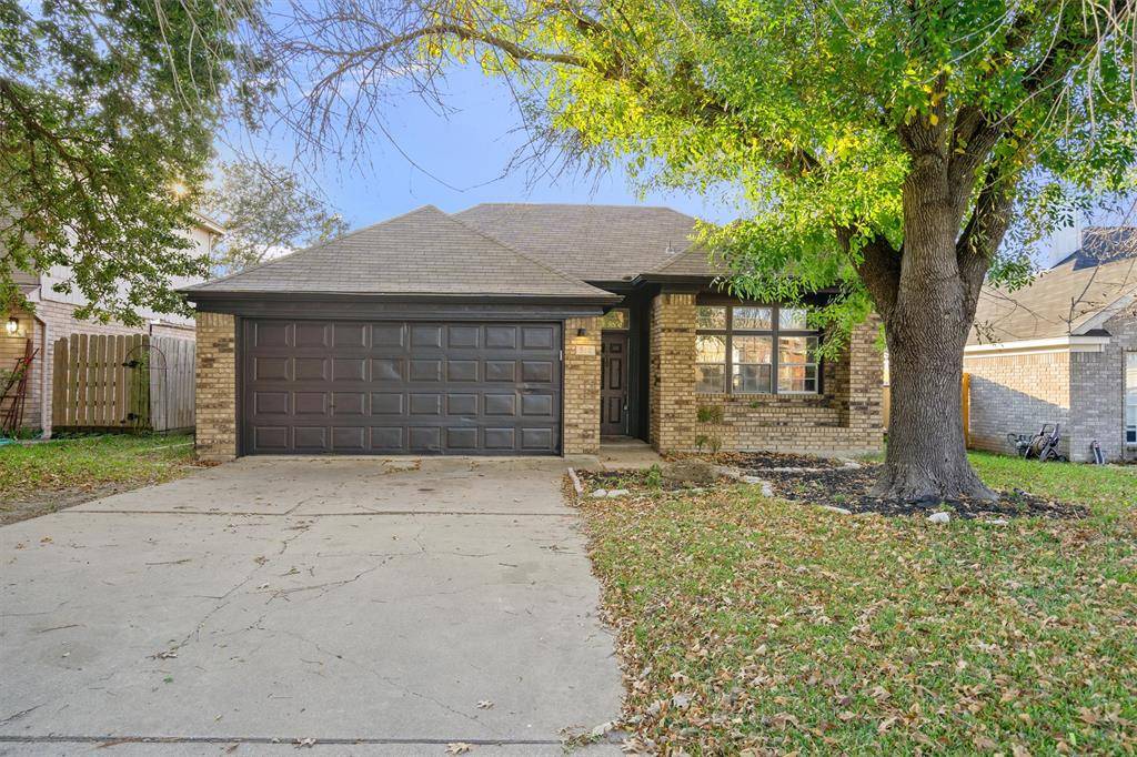 Temple, TX 76504,912 Filly LN