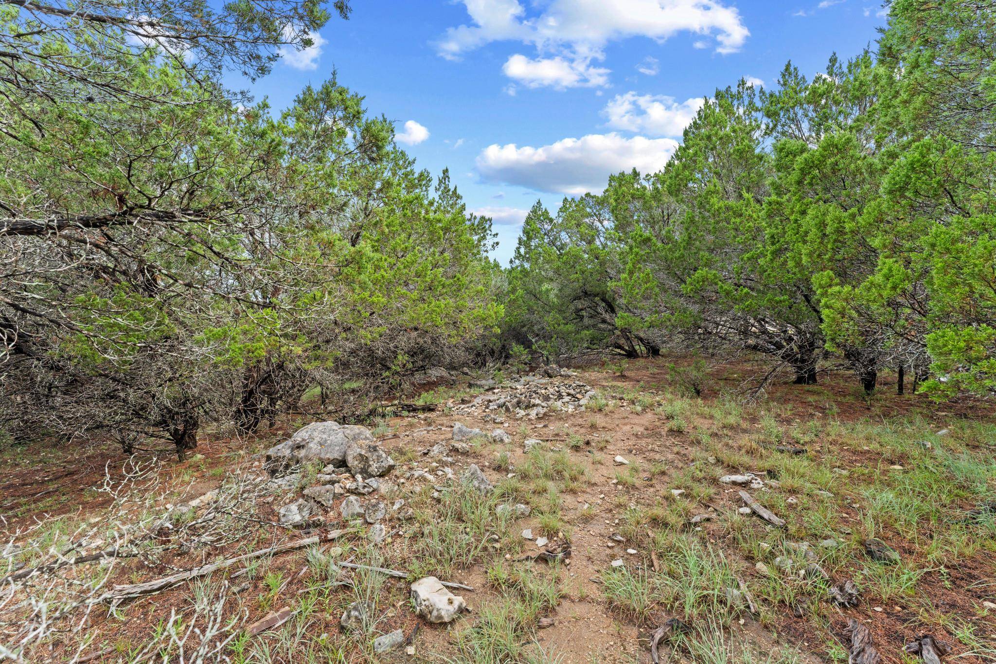 Lago Vista, TX 78645,4602 Thunderbird DR
