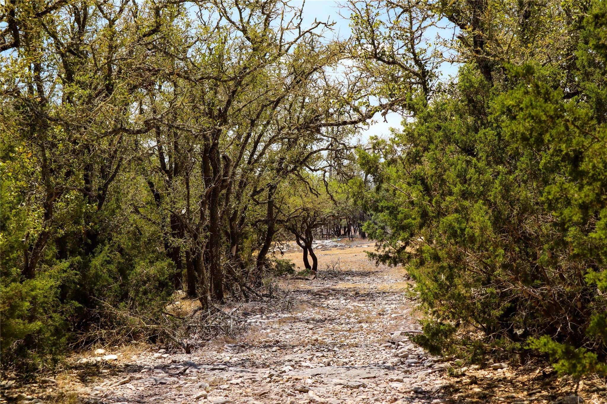 Mountain Home, TX 78058,50acres US-83 HWY #50acres