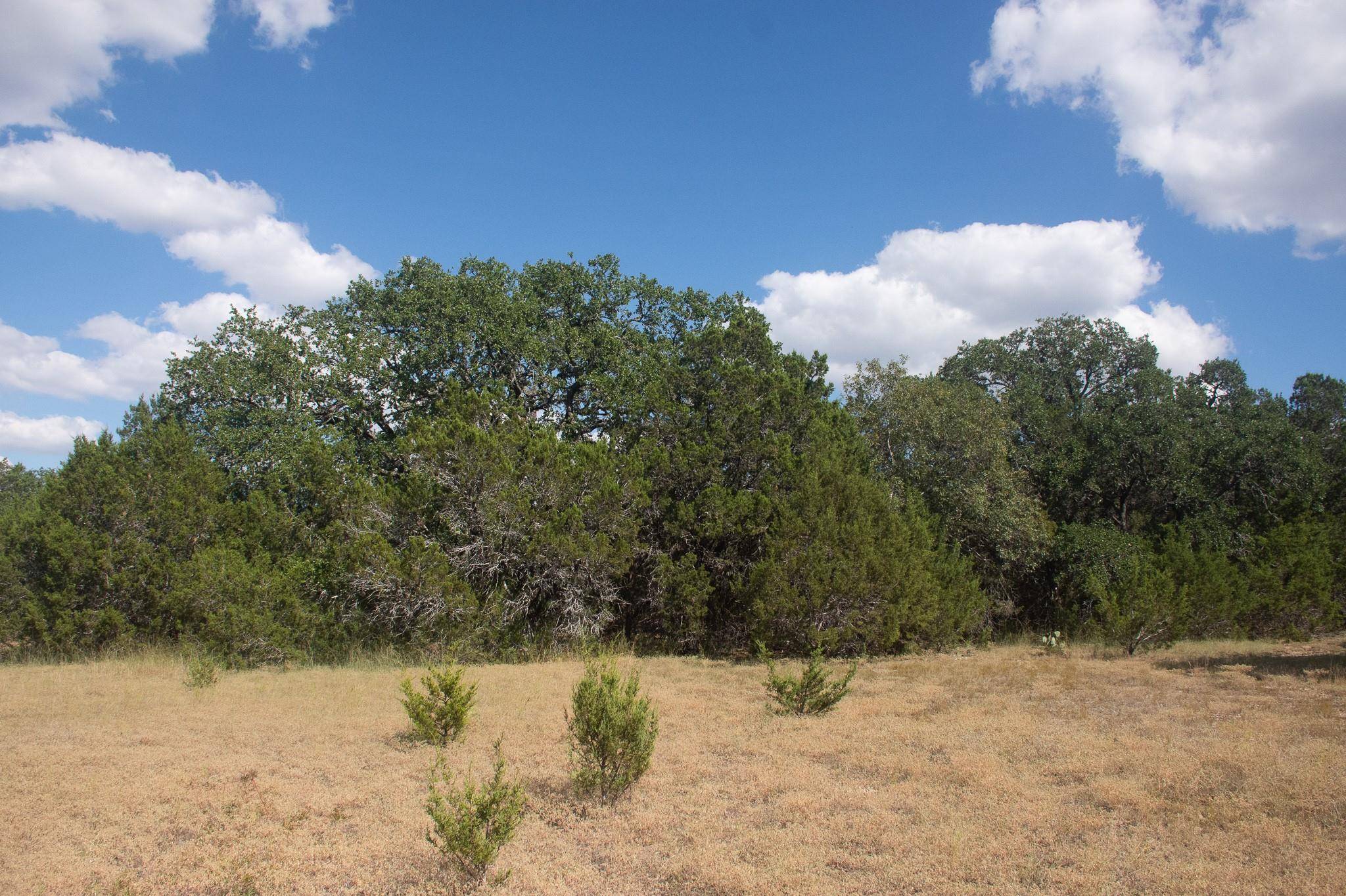 Burnet, TX 78611,000 CR 206