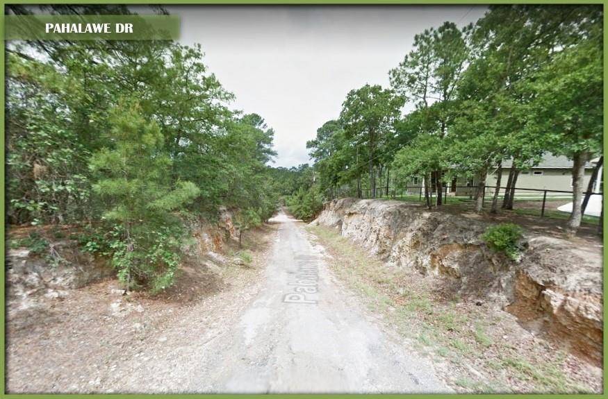Bastrop, TX 78602,0 Pahalawe LN
