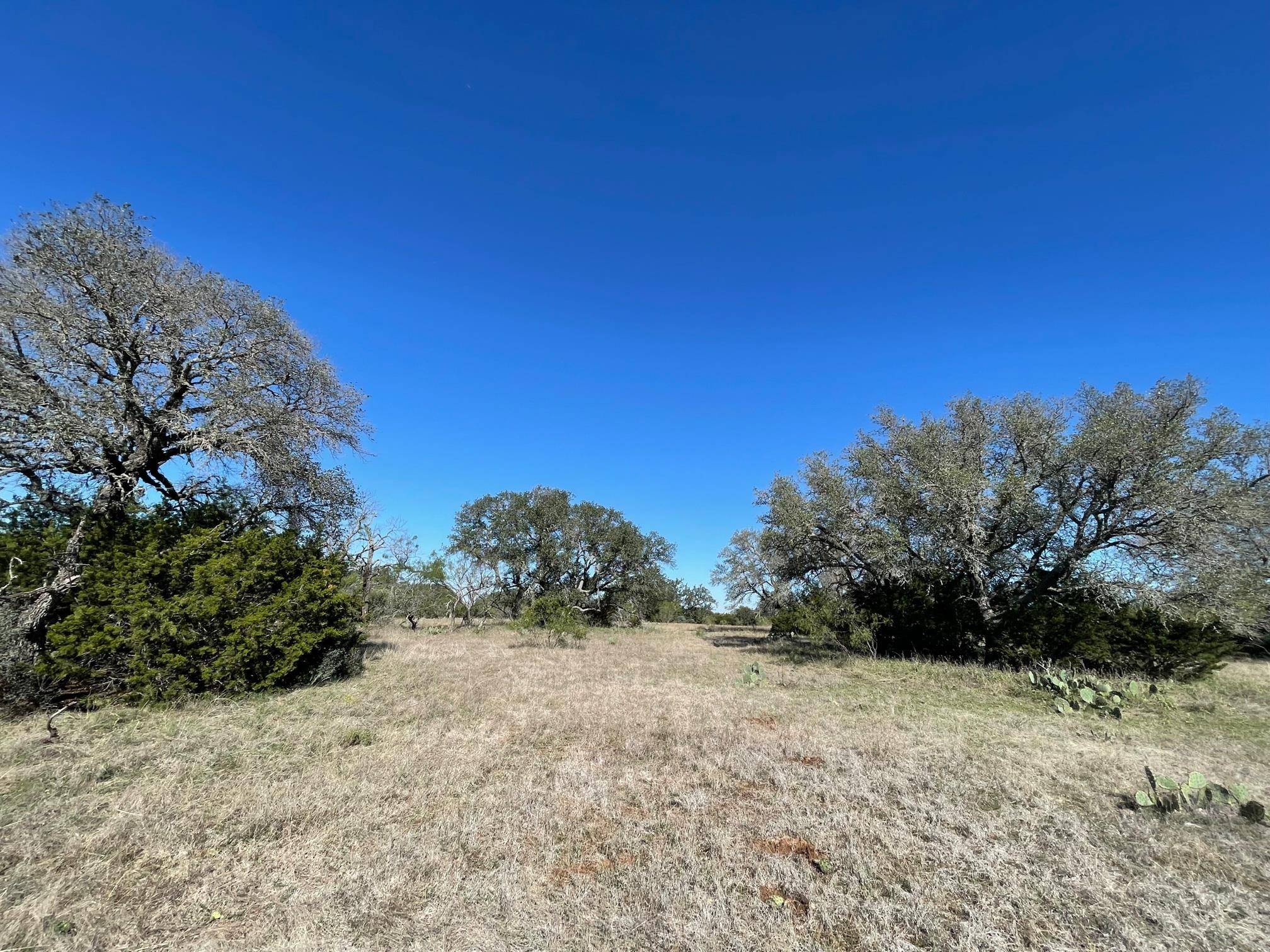 Goldthwaite, TX 76844,119 Spanish Oak DR