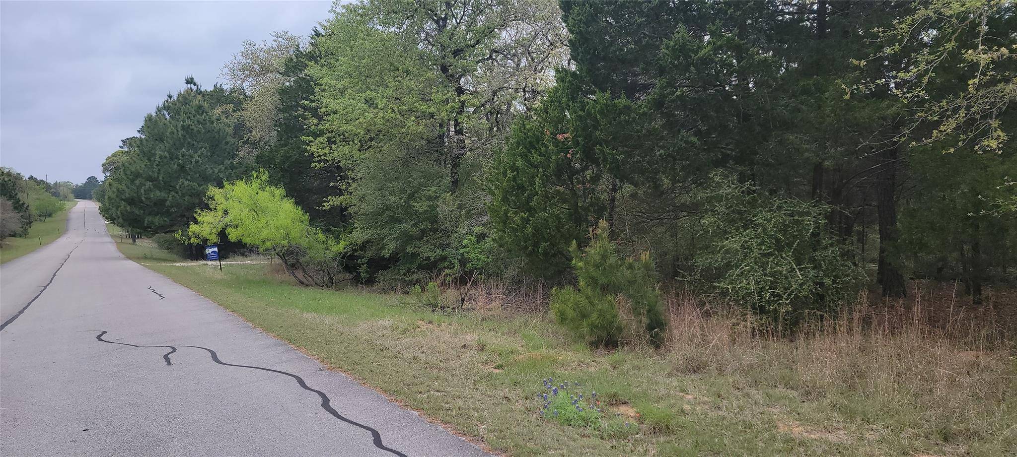 Smithville, TX 78957,Address not disclosed