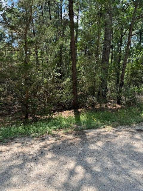 Bastrop, TX 78602,Lot 250 Hekili DR