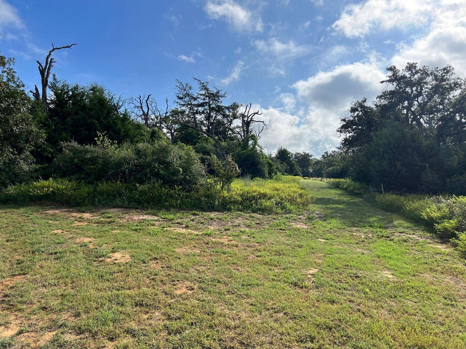 Milano, TX 76556,Lot 21 CR 322