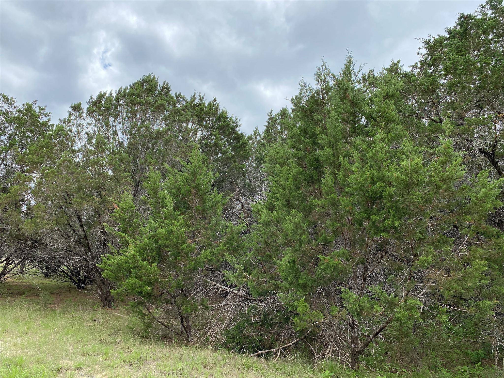 Wimberley, TX 78676,9 Quiet Meadow CIR