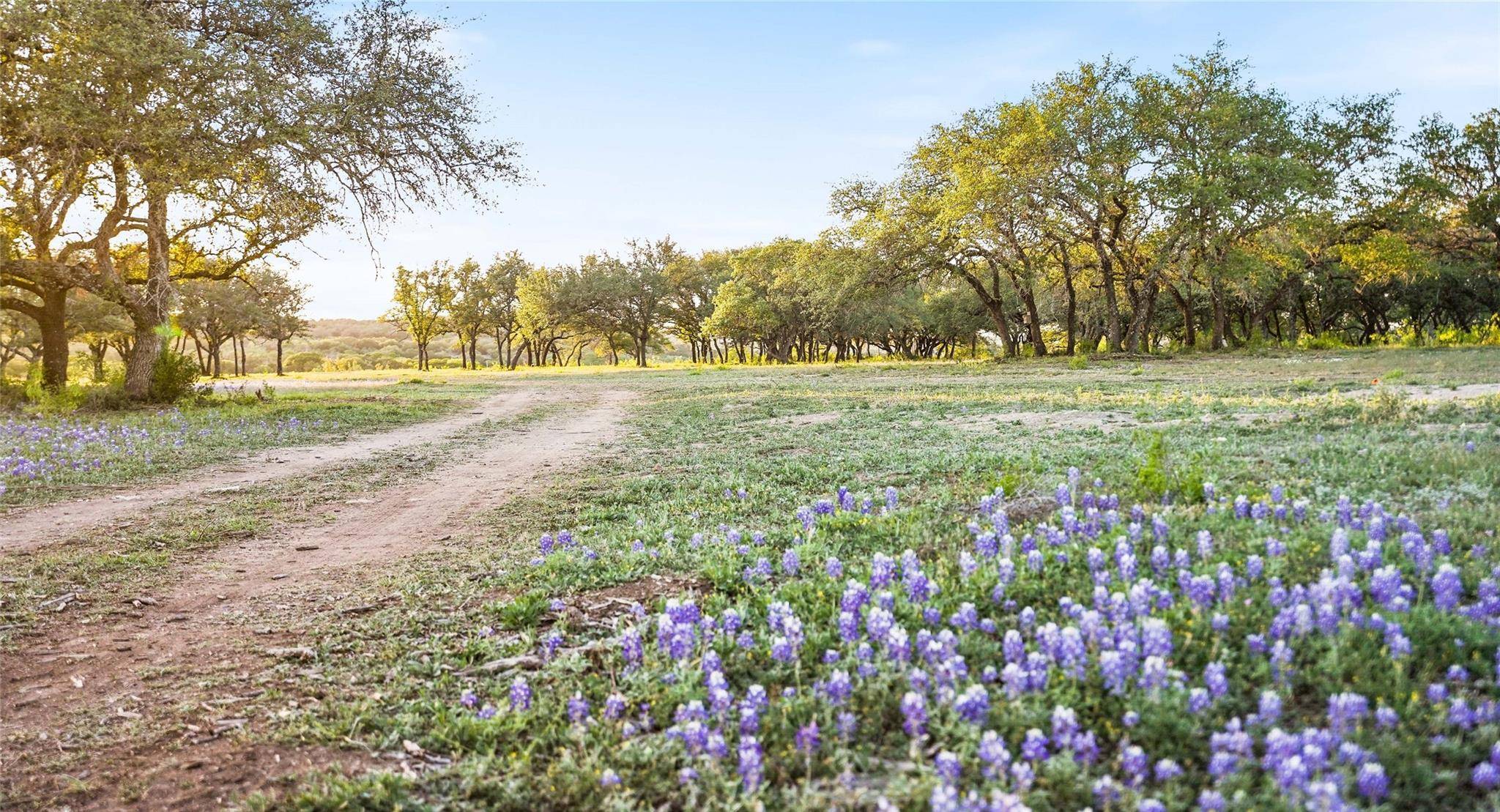 Spicewood, TX 78669,24525 Pedernales Canyon TRL #Lot 11