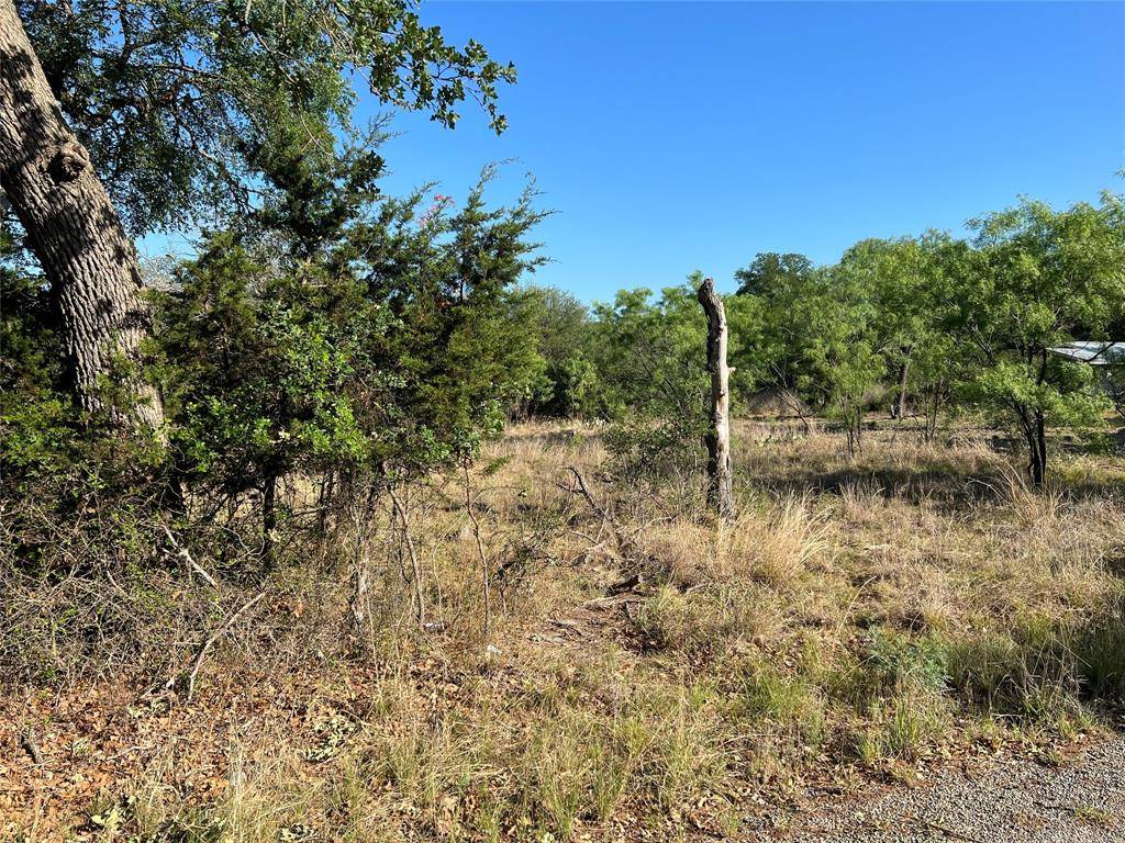Granite Shoals, TX 78654,Lot 424 & 425 Shady Forest DR