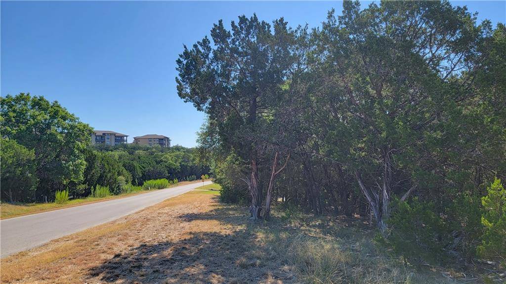 Jonestown, TX 78645,7501 Lantern View DR