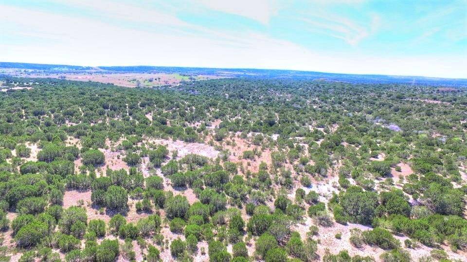 Lometa, TX 76853,2W Tract 4 County Road 2200