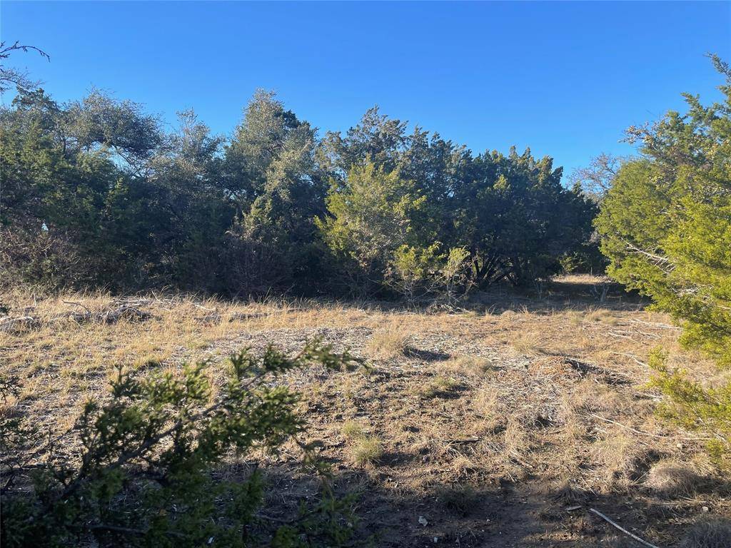 Dripping Springs, TX 78620,17906 Turkey Trot TRL