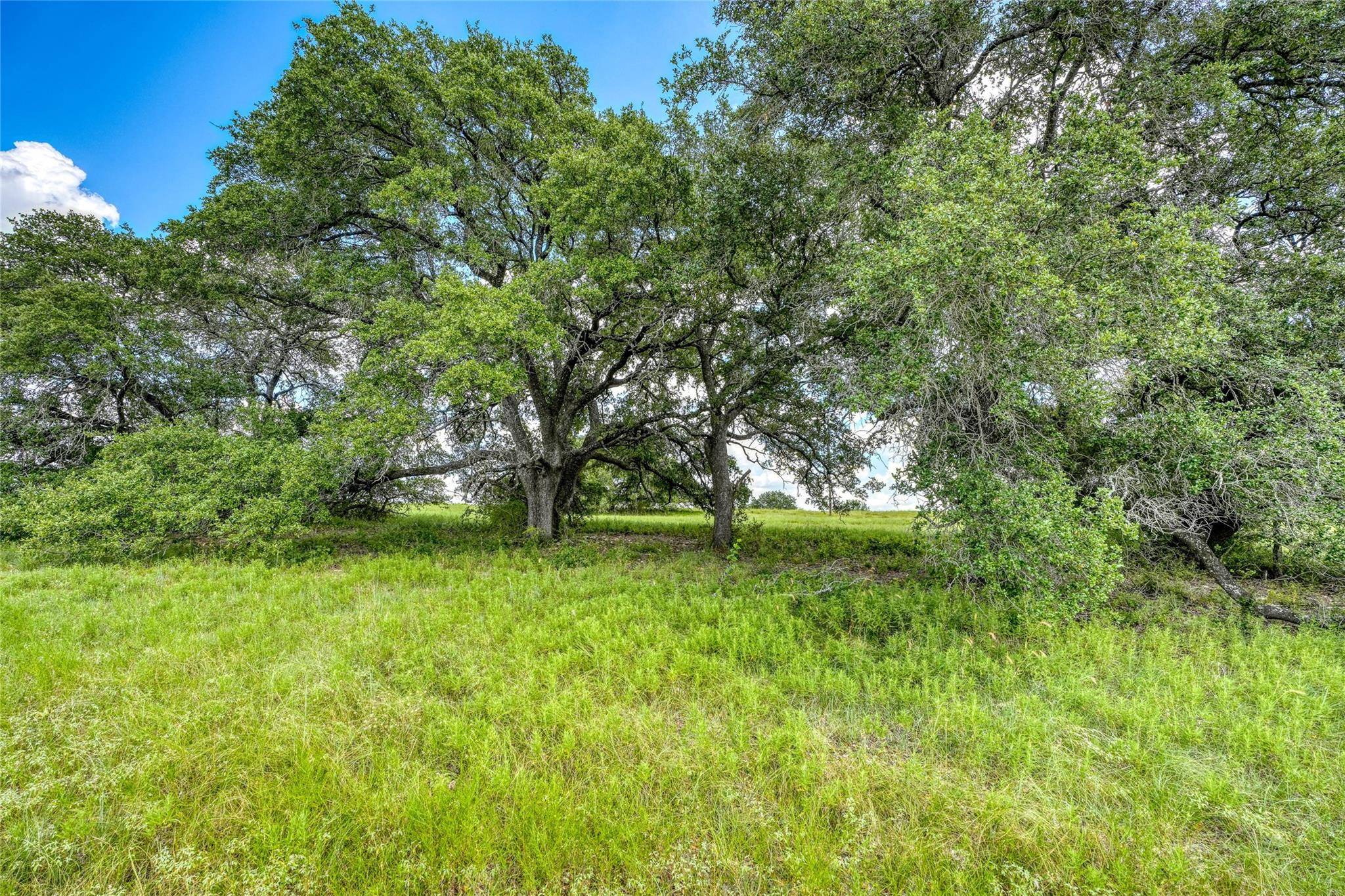 Briggs, TX 78608,266 Miller Creek Bluff