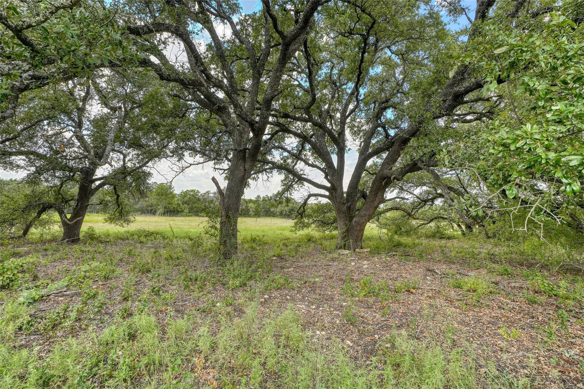 Briggs, TX 78608,266 Miller Creek Bluff