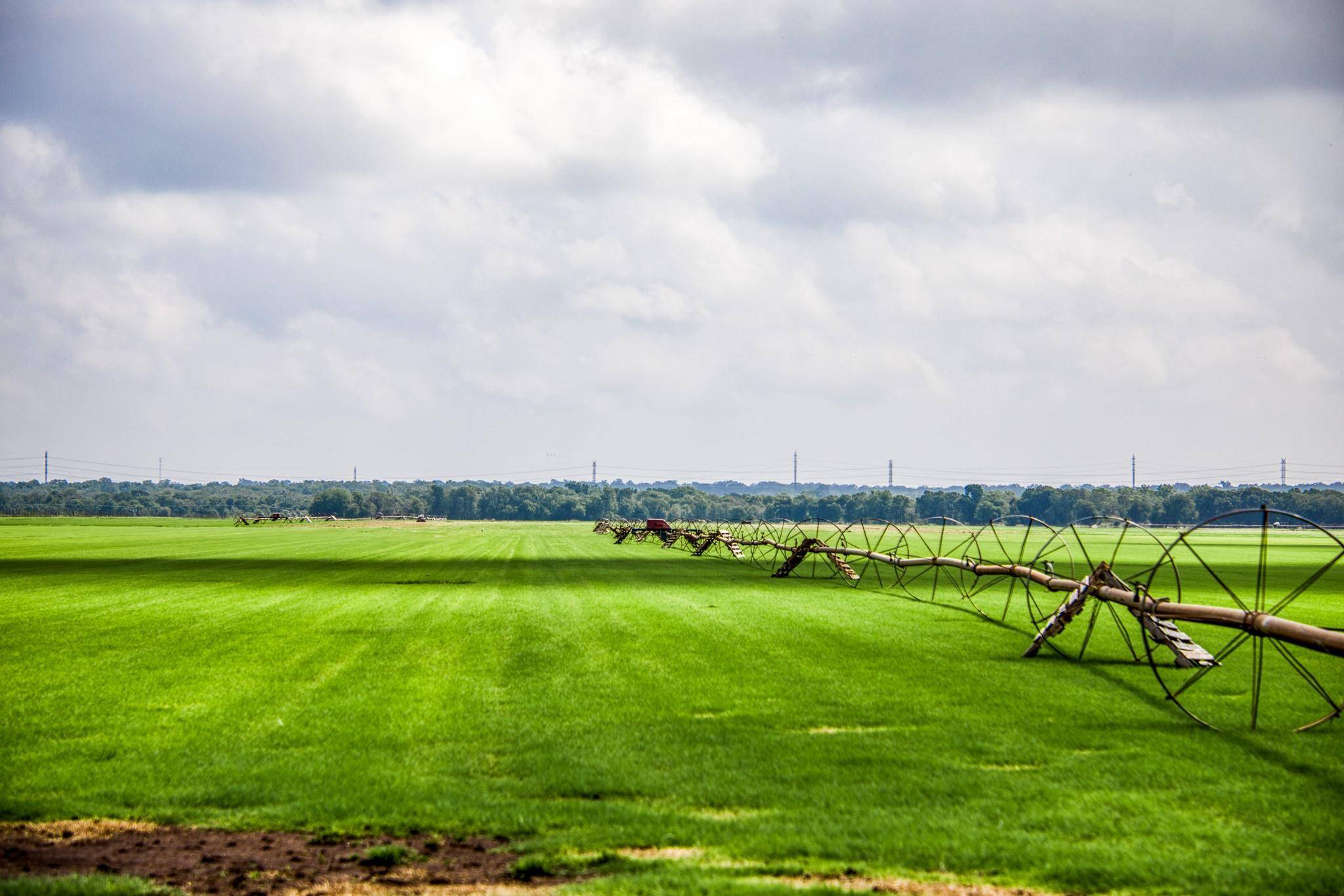 Bastrop, TX 78602,TBD (167.538 Acres) Barton RD