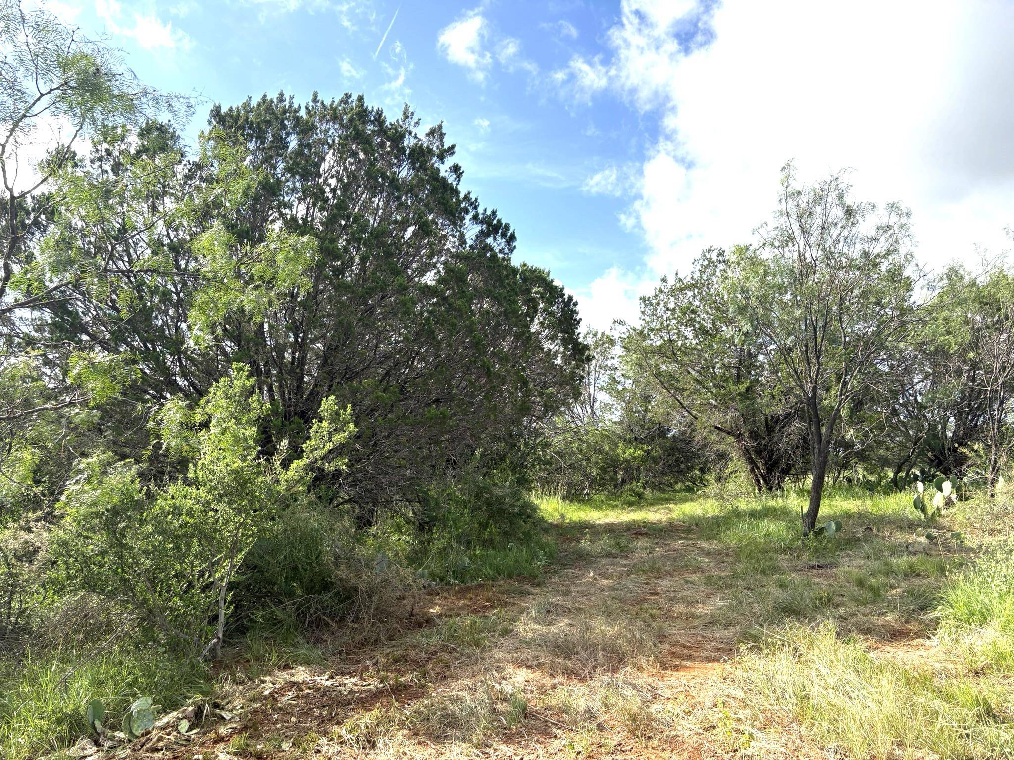 Sunrise Beach, TX 78643,TBD - Lot 4 Sandy Mountain DR