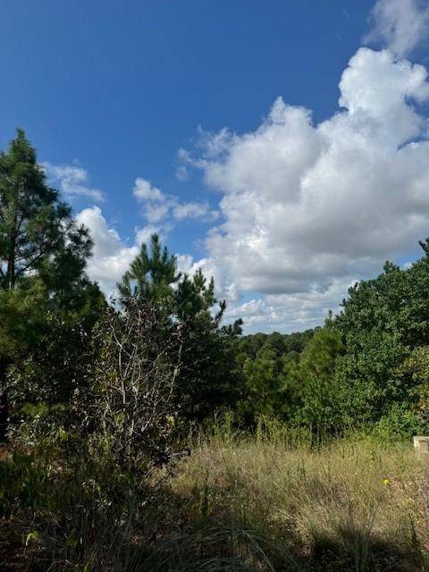 Bastrop, TX 78602,Lot 1223 Koloiki LN