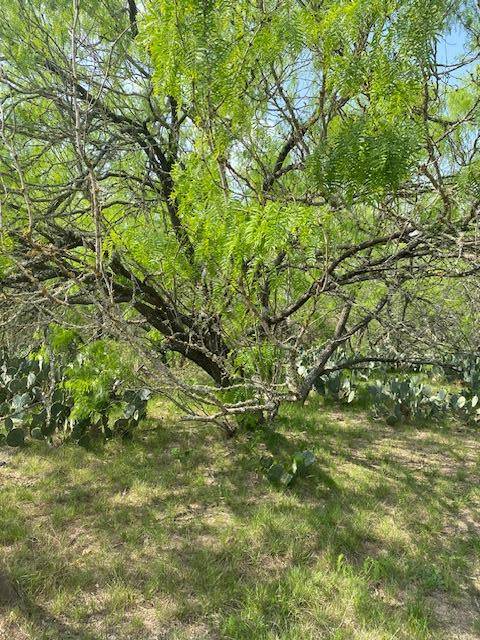 Lockhart, TX 78644,200 Armstrong RD