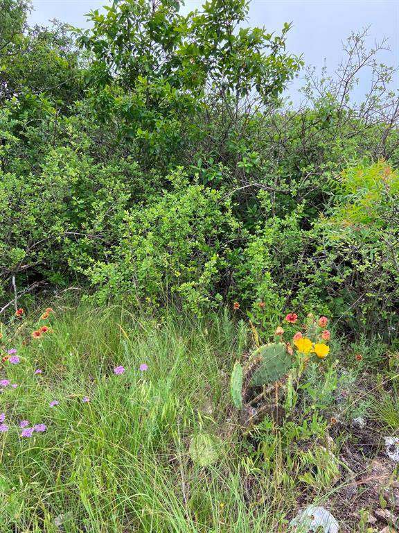 Hamilton, TX 76565,lot 26 Indian Springs CR633