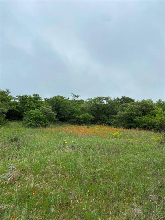 Hamilton, TX 76565,lot 26 Indian Springs CR633