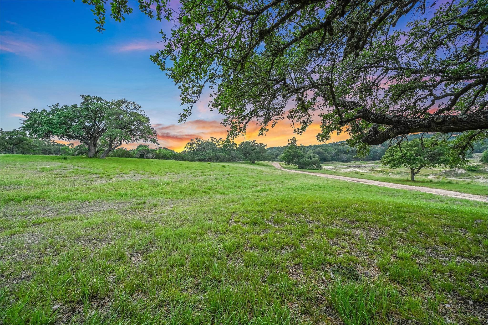 Fischer, TX 78623,1174 ROYAL EAGLE DR