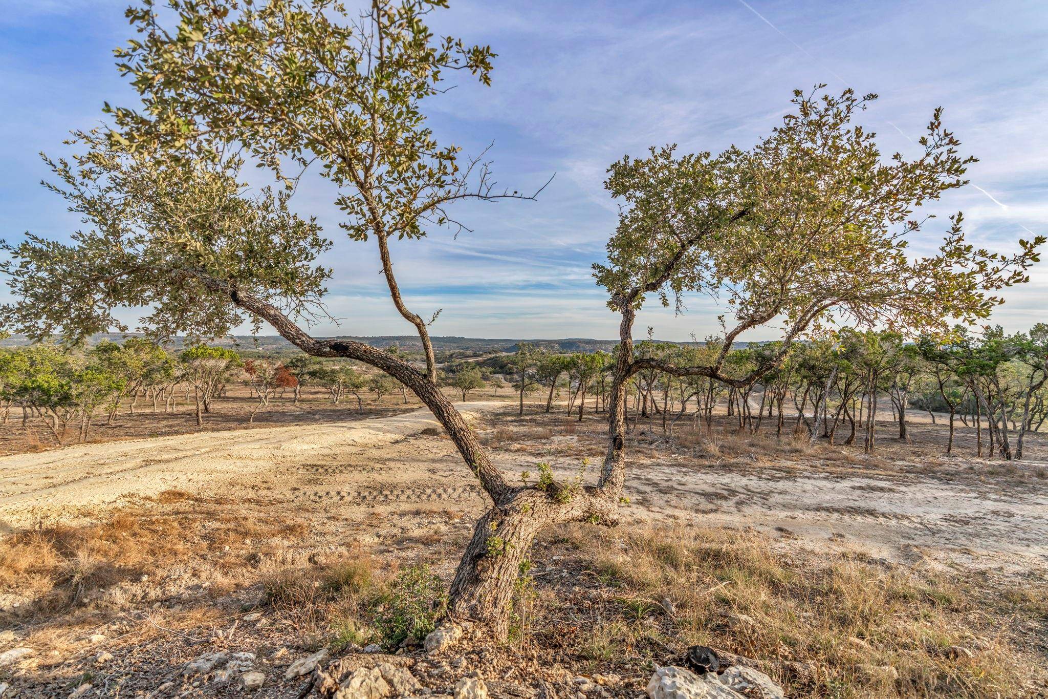 Dripping Springs, TX 78620,3310 Ranch Road 165 #Tract 22