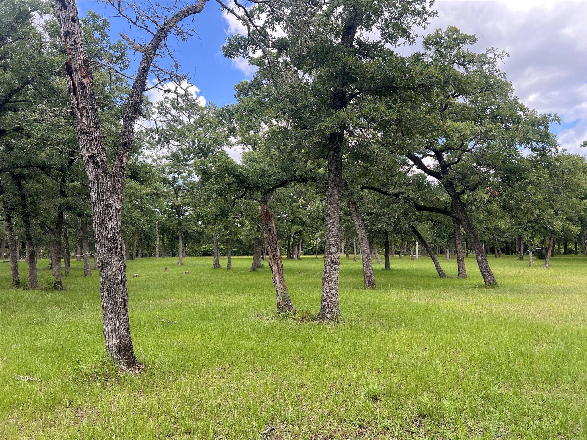 Caldwell, TX 77836,Lot 569 Deer Ledge DR