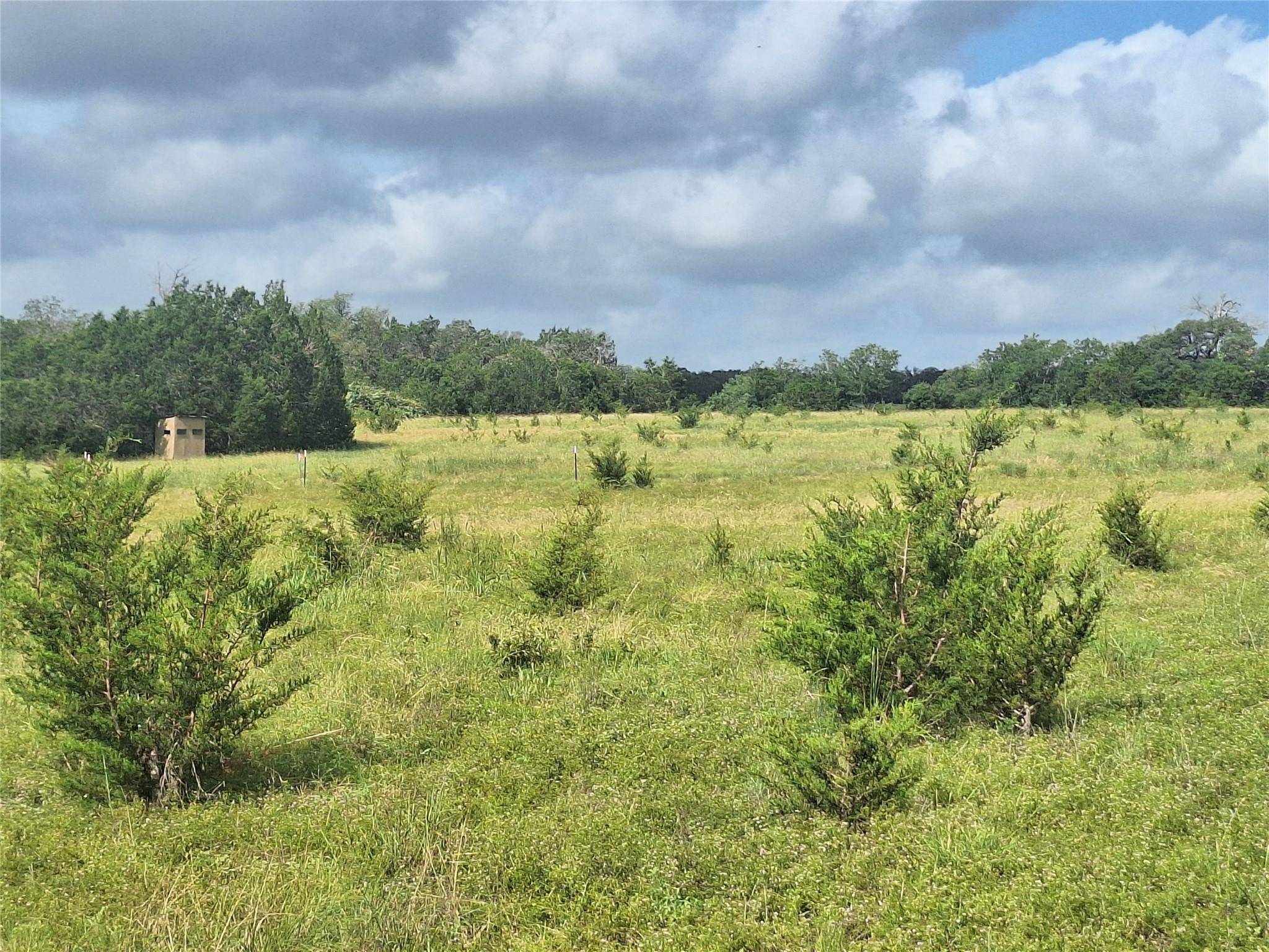 Leander, TX 78641,1495 County Road 281 RD
