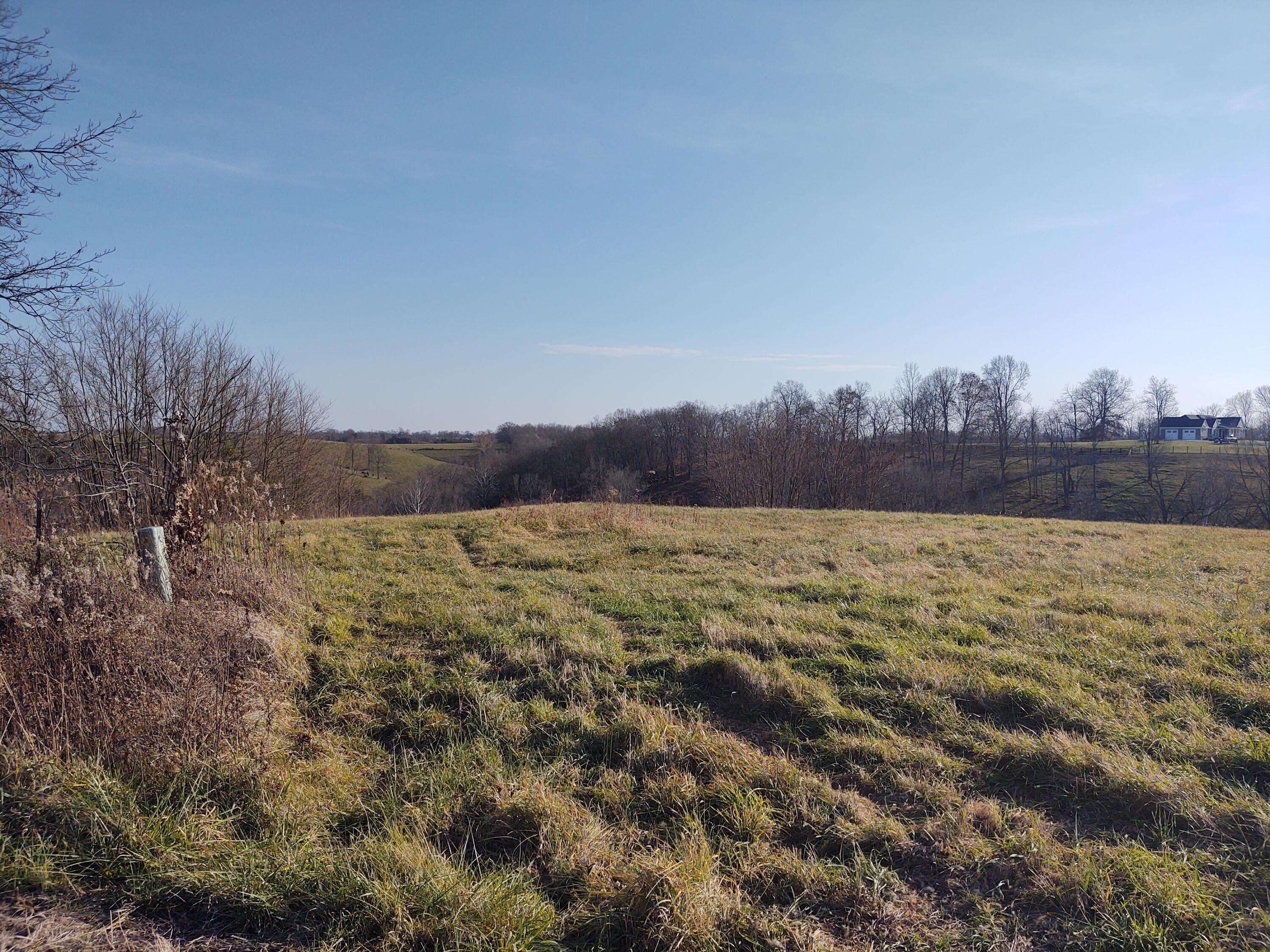 Foster, KY 41043,LOT 6 Hickory Hill Court