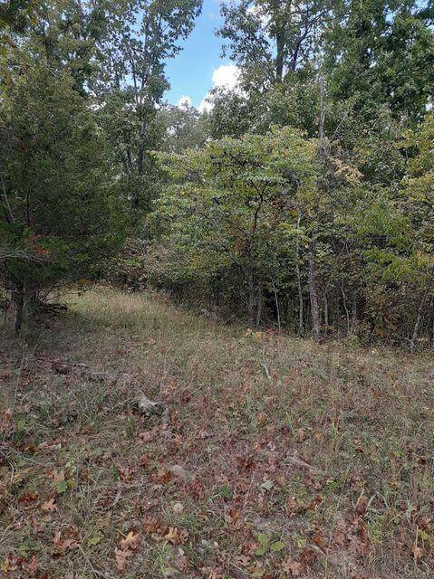 Cynthiana, KY 41031,Lot 15 Apple Lane