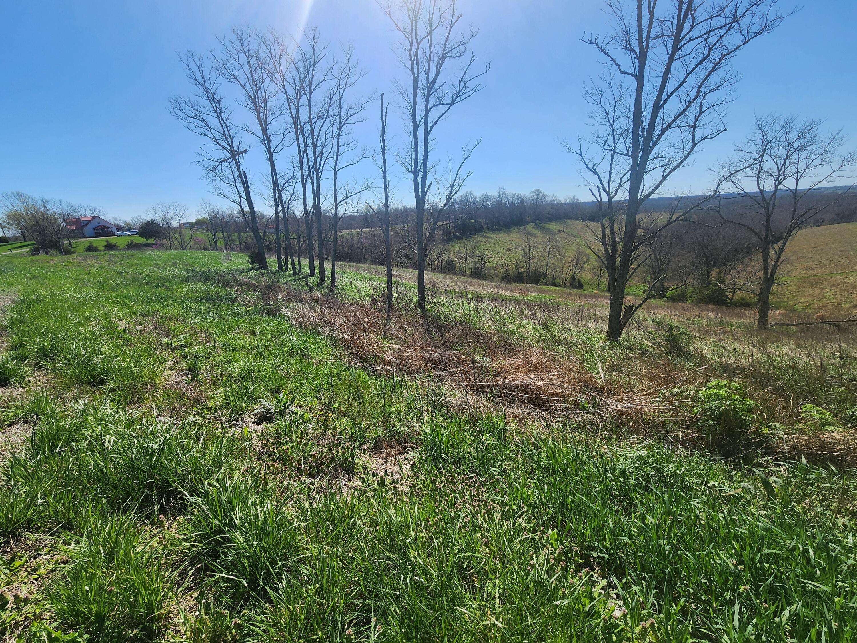 Owenton, KY 40359,34.67 Acres Highway 22 E