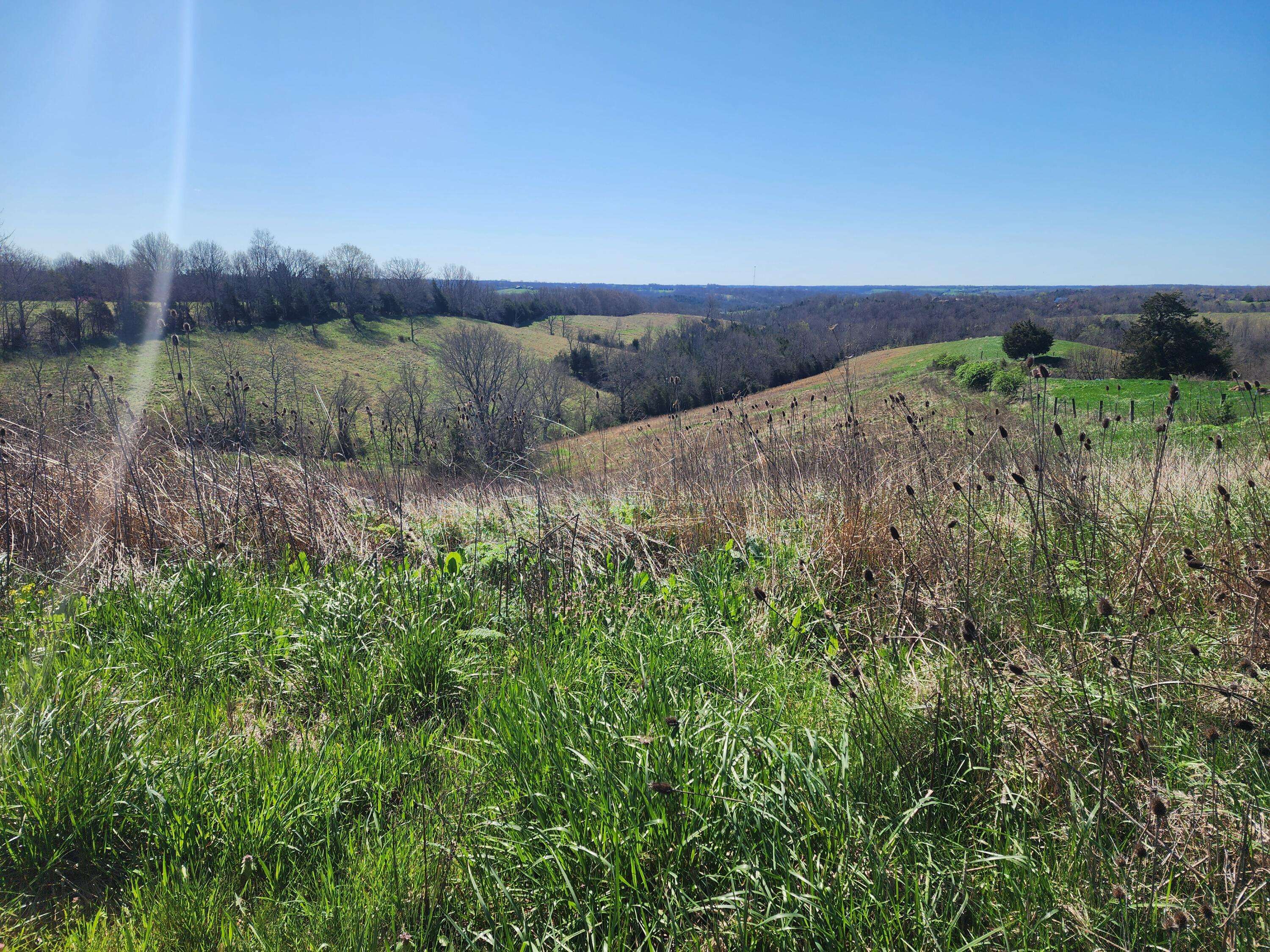 Owenton, KY 40359,34.67 Acres Highway 22 E