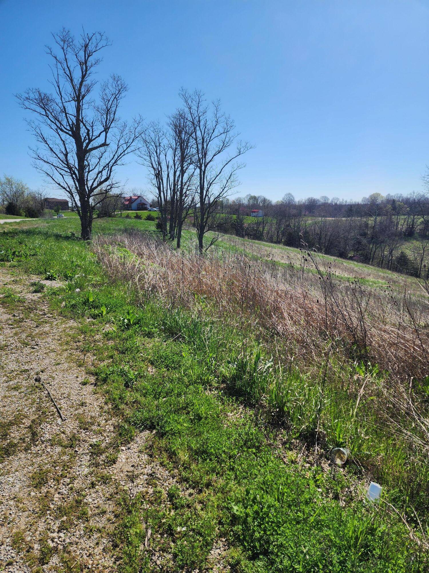 Owenton, KY 40359,34.67 Acres Highway 22 E