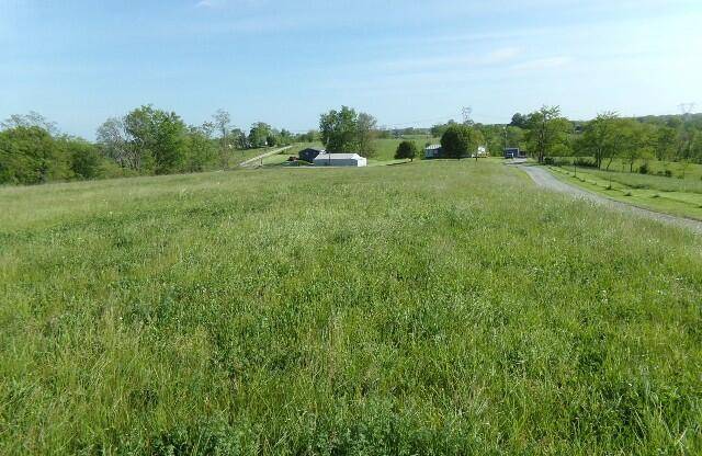 Worthville, KY 41098,#2 Hwy 325 & R Sharon Rd