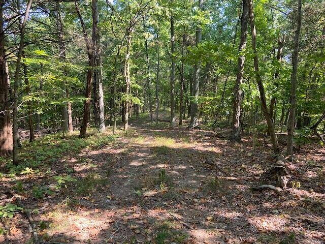 Mt. Olivet, KY 41064,1000 Hidden Acres