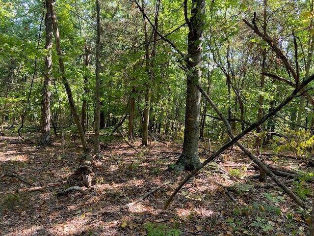 Mt. Olivet, KY 41064,1000 Hidden Acres