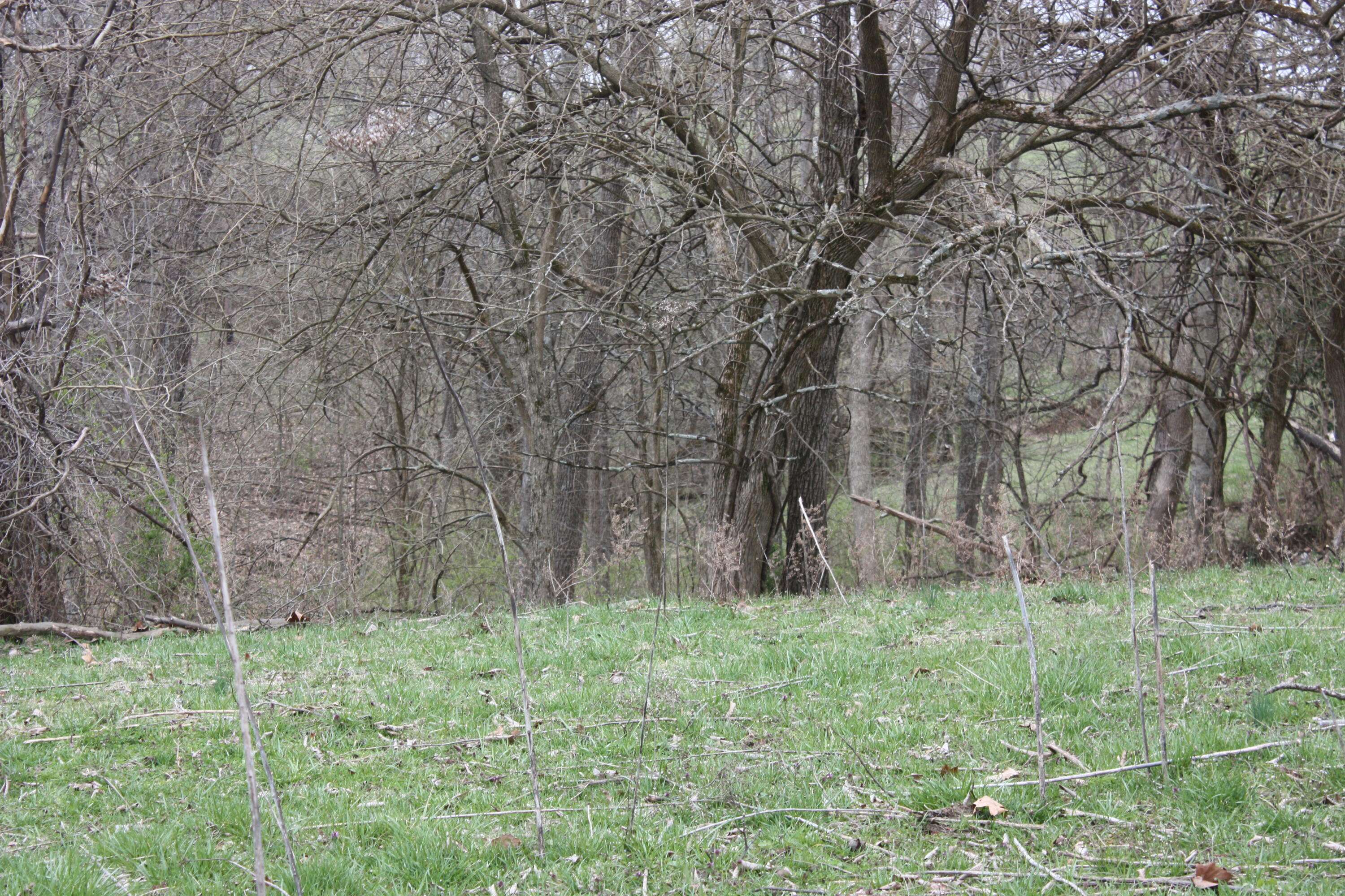 Burlington, KY 41005,9520 East Bend Road