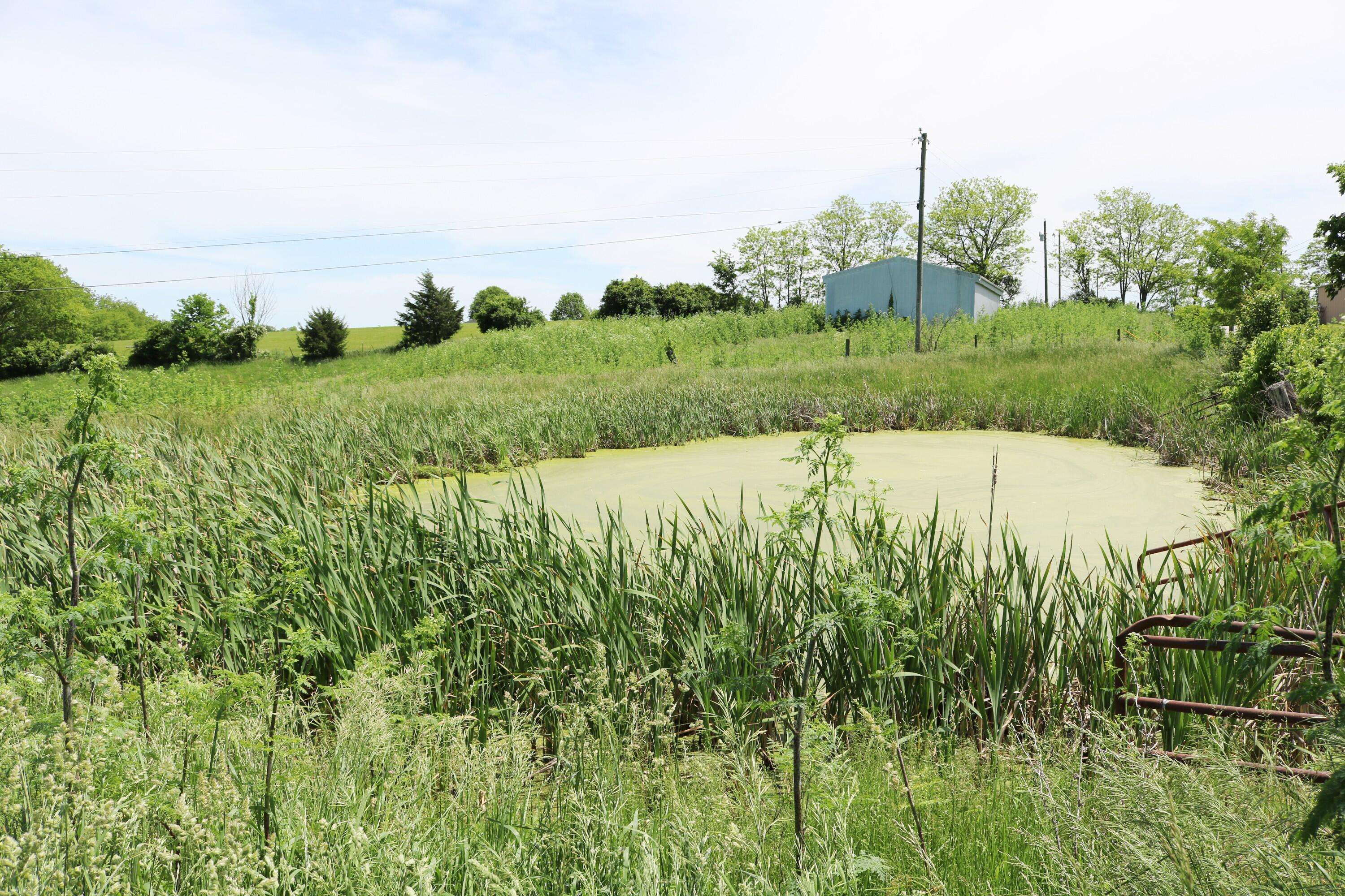 Crittenden, KY 41030,5.01 acres Menefee Road
