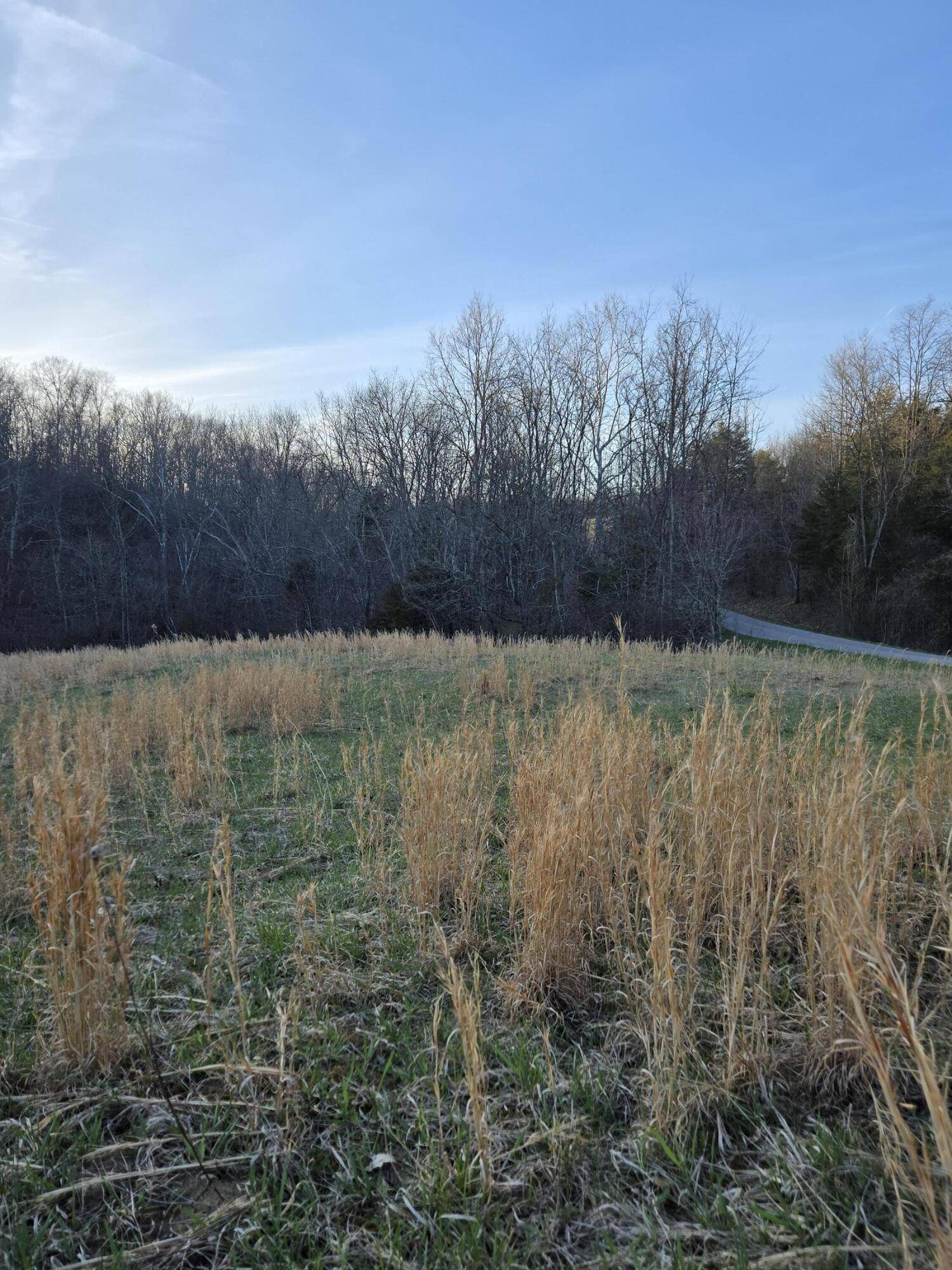 Corinth, KY 41010,Tract 1 Pleasant Grove Road