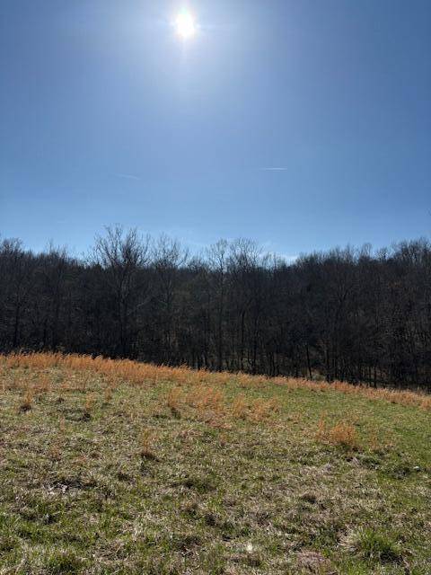 Corinth, KY 41010,Tract 1 Pleasant Grove Road
