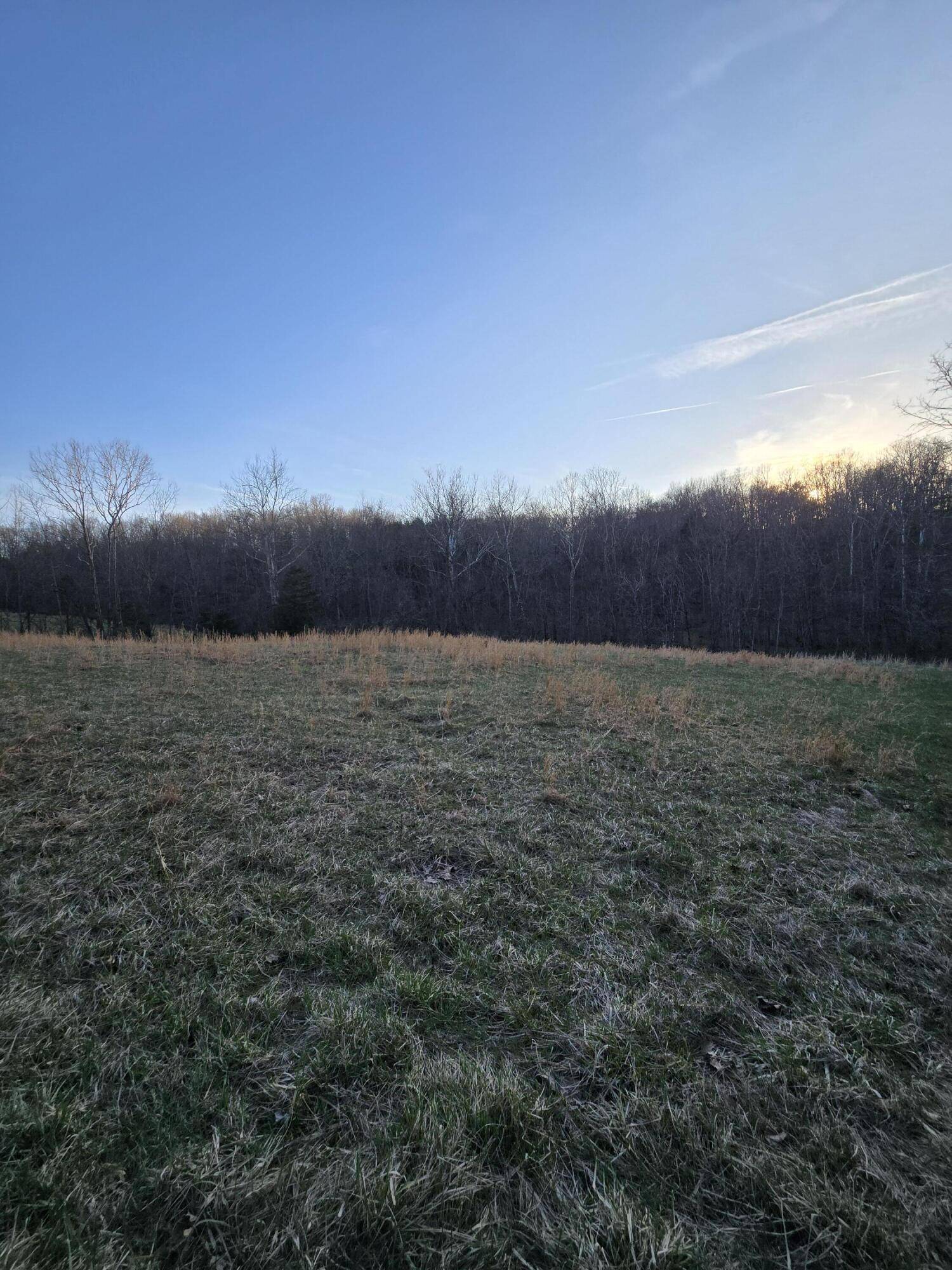 Corinth, KY 41010,Tract 1 Pleasant Grove Road