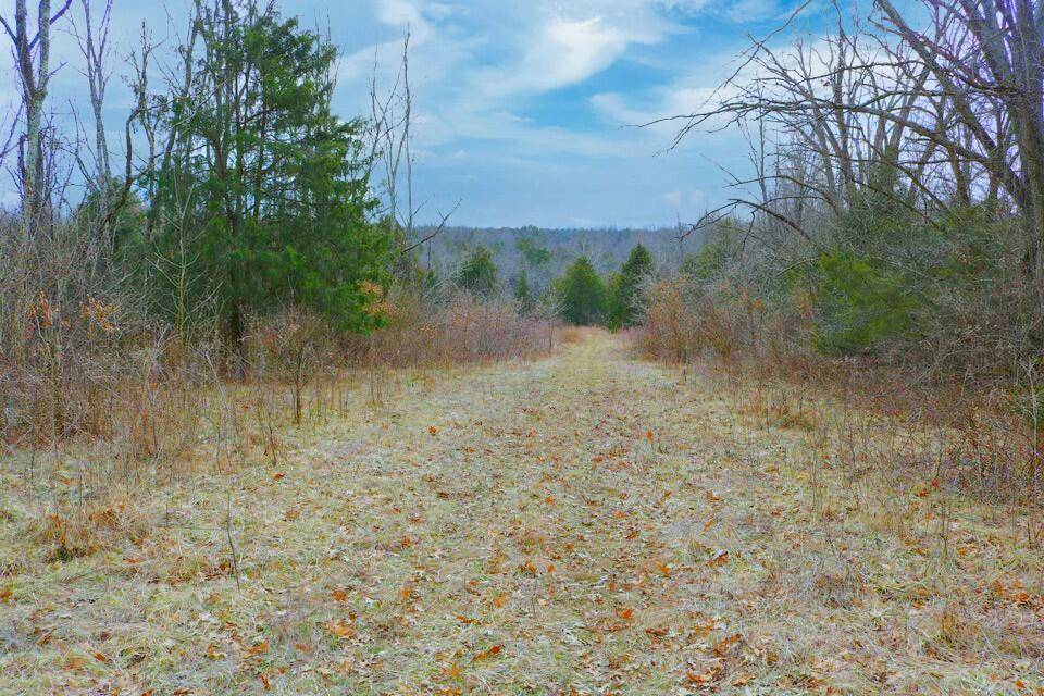 Falmouth, KY 41040,990 Wolfe Road