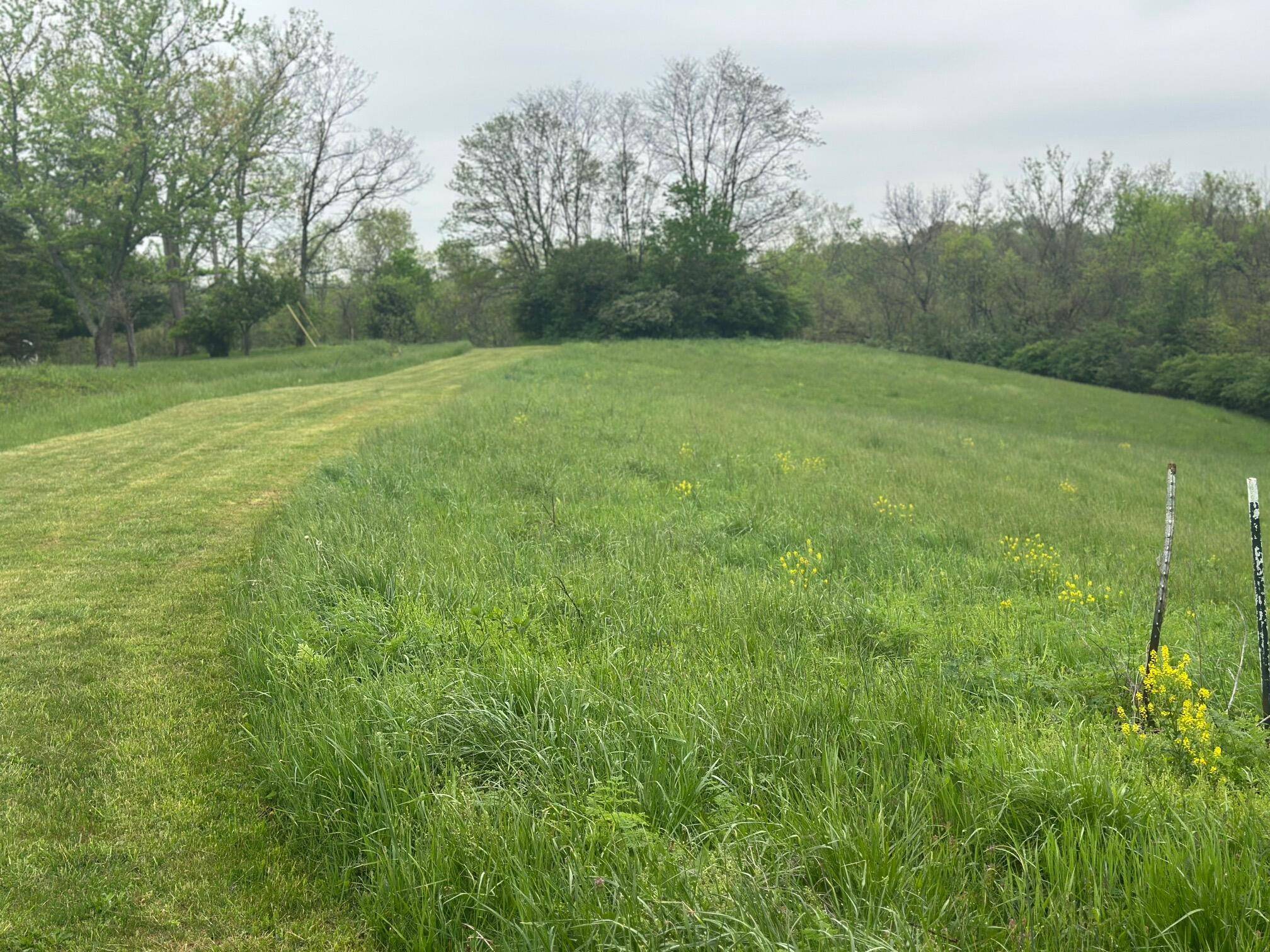 Augusta, KY 41002,Lot 12 Briarwood & Valley View Drive