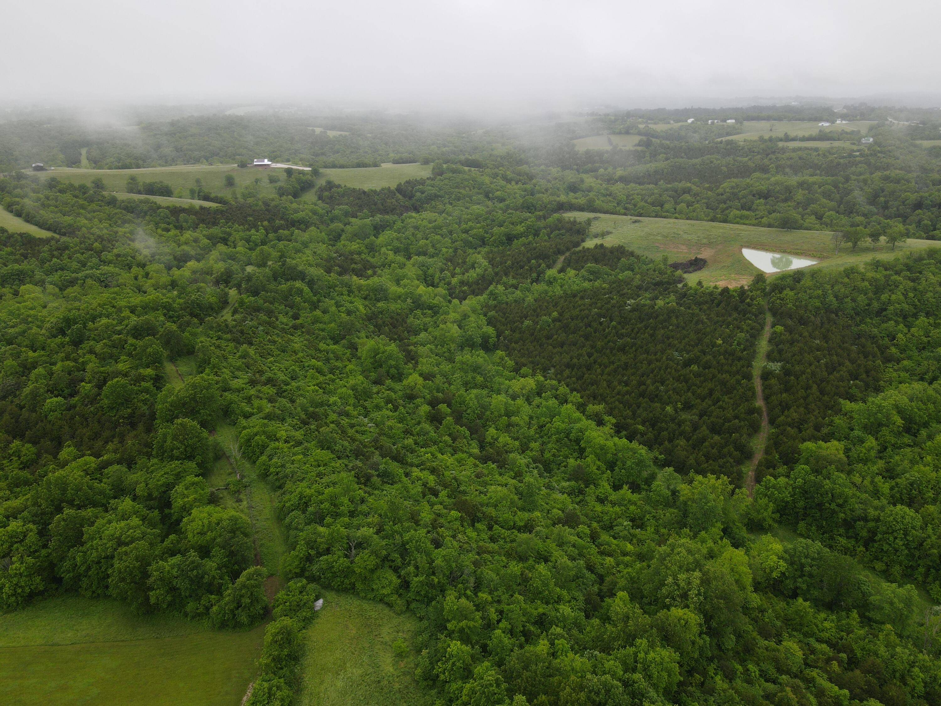 Brooksville, KY 41004,138 Acres Cooper Lane