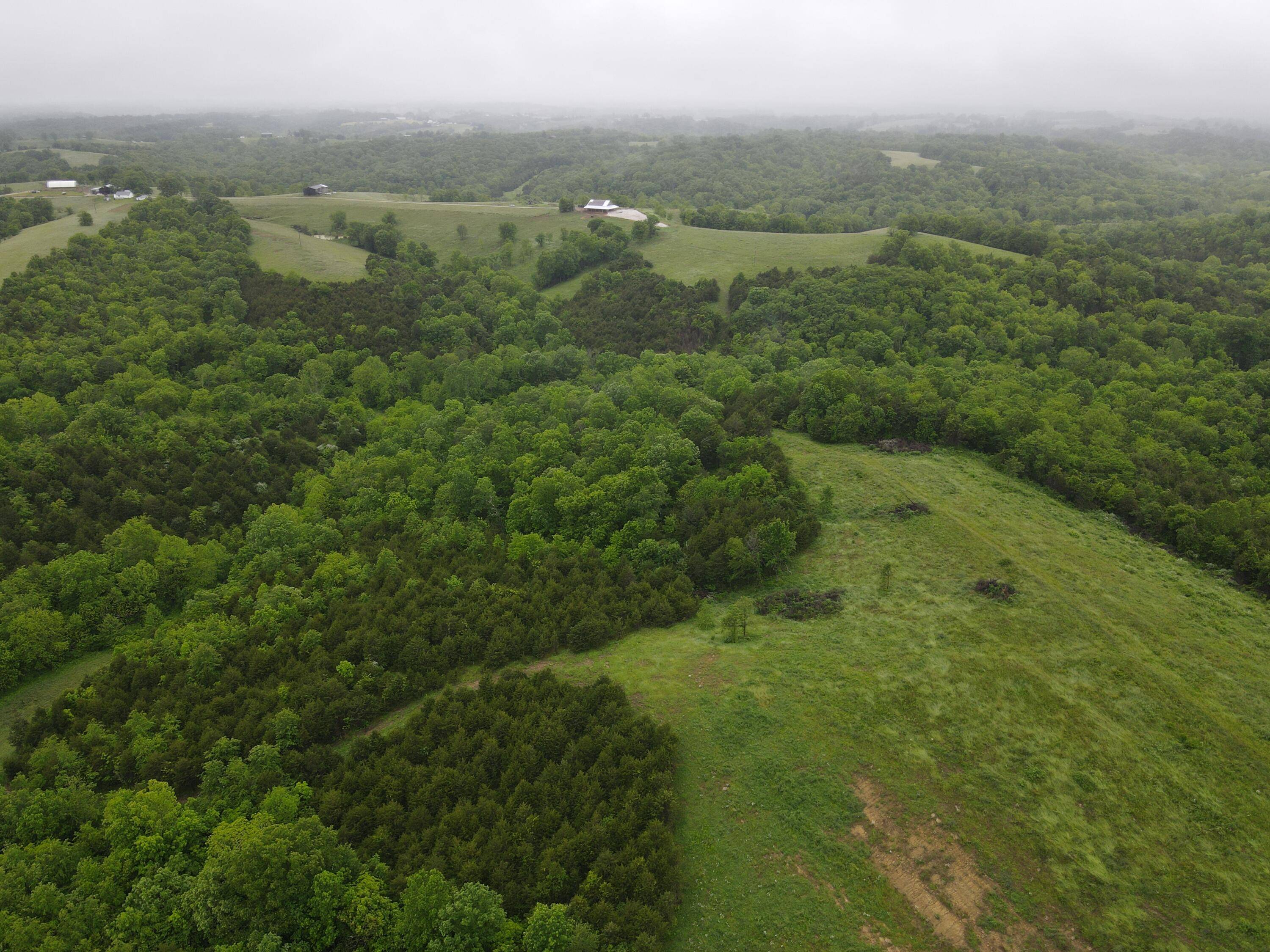 Brooksville, KY 41004,138 Acres Cooper Lane